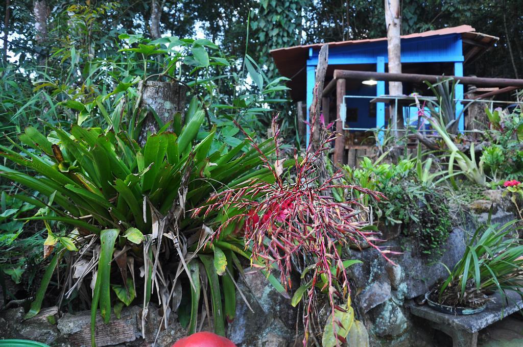 Pousada Ecologica Lua Bonita Do Nero Macacos  Extérieur photo